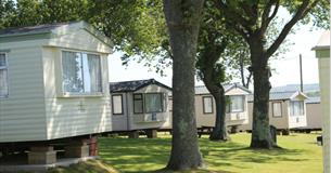 View of caravans within the trees at Cheverton Copse Holiday Park, Sandown