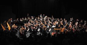 Isle of Wight Steam Railway, IWSO Summer Concert, Orchestra image
