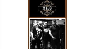 Isle of Wight, Things to do, Live Music, Free Event, Bugle Inn, Brading, MILO
