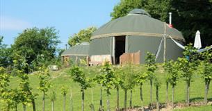 Glamping Self Catering Isle of Wight - Luxury Yurts on The Garlic Farm