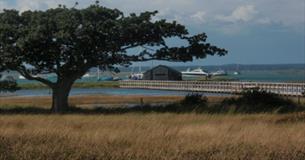 Newtown creek, nature trail, Isle of Wight, What's On