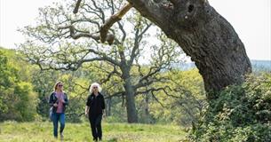Isle of Wight, Things to do, Guided Walk, National Trust, Newtown Nature Reserve.