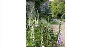 Isle of Wight, things to do, Open Garden, Northcourt, Shorwell
