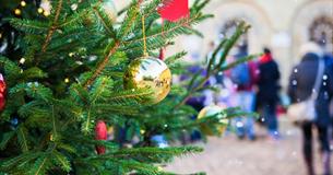 Isle of Wight, Things to do, Christmas, Osborne, East Cowes, Festive Fun