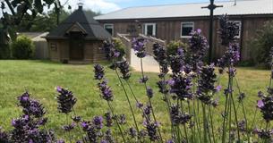 Outside view of Godshill Park Barn, self catering, Isle of Wight