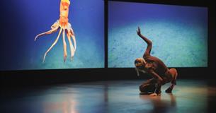 Isle of Wight, Things to do, Quay Arts, Newport