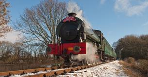 Steam train in countryside, Isle of Wight Steam Railway, Things to Do, What's On