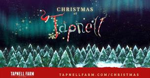 Christmas at Tapnell Farm Park, What's On, children's event