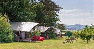 Outside view of Safari Tents at Tom's Eco Lodge, self-catering, West Wight, Isle of Wight