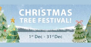 Isle of Wight, Things to do, Events, IOW Pearl Christmas Tree Festival