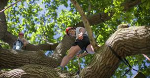Man and woman climbing tree, Isle of Wight, Things to Do, Tree climbing, Appley Park, Ryde,