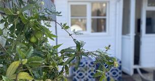 Isle of Wight, Accommodation, York Cottage, COWES, Self Catering, Outside