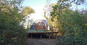 Isle of Wight, Camp Wight, Accommodation, Glamping Dome in woodland setting