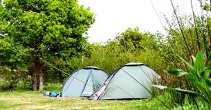 Isle of Wight, Accommodation, Camping, Corve Camp, Chale, 2 tents