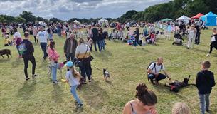 Families with their dogs at Isle of Wight Dog Festival, what's on, event
