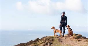 Two dogs with their owner on the cliff at Compton looking out to sea, Trotting Dog, Isle of Wight, activities, walking, running, dog-friendly trails
