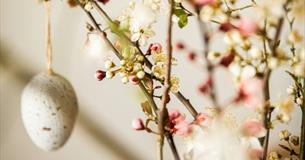 Egg bauble dangling from a plant, Easter event at the Seaview Hotel, lunch, food, family event, what's on, Isle of Wight