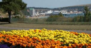 Sandown