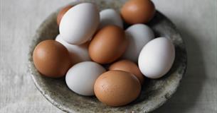 Image of free range brown and white eggs, Hazelgrove Farm Egg, Ashey, Ryde, Isle of Wight