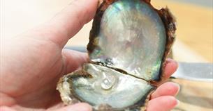 Peal inside an oyster, Isle of Wight Pearl Easter event, what's on, Isle of Wight