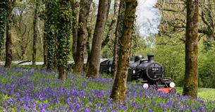 Isle of Wight, Steam Railway, Things to Do, Mothers Day events