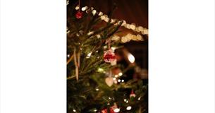 Bauble on a Christmas tree, party night at The Garlic Farm, what's on, event, Isle of Wight