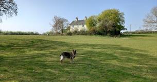 Outside grounds at Somerton Farm Holiday Cottage, self-catering, Cowes