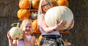 Pumpkin Pride at Tapnell Farm Park at Halloween event, Isle of Wight, What's On