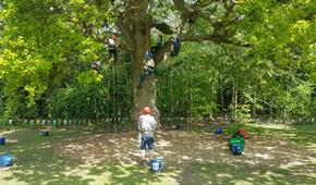 Goodleaf Tree Climbing - RYDE - Visit Isle Of Wight