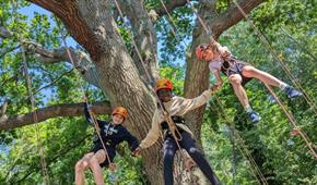 Goodleaf Tree Climbing - RYDE - Visit Isle Of Wight