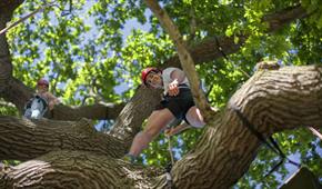 Goodleaf Tree Climbing - RYDE - Visit Isle Of Wight