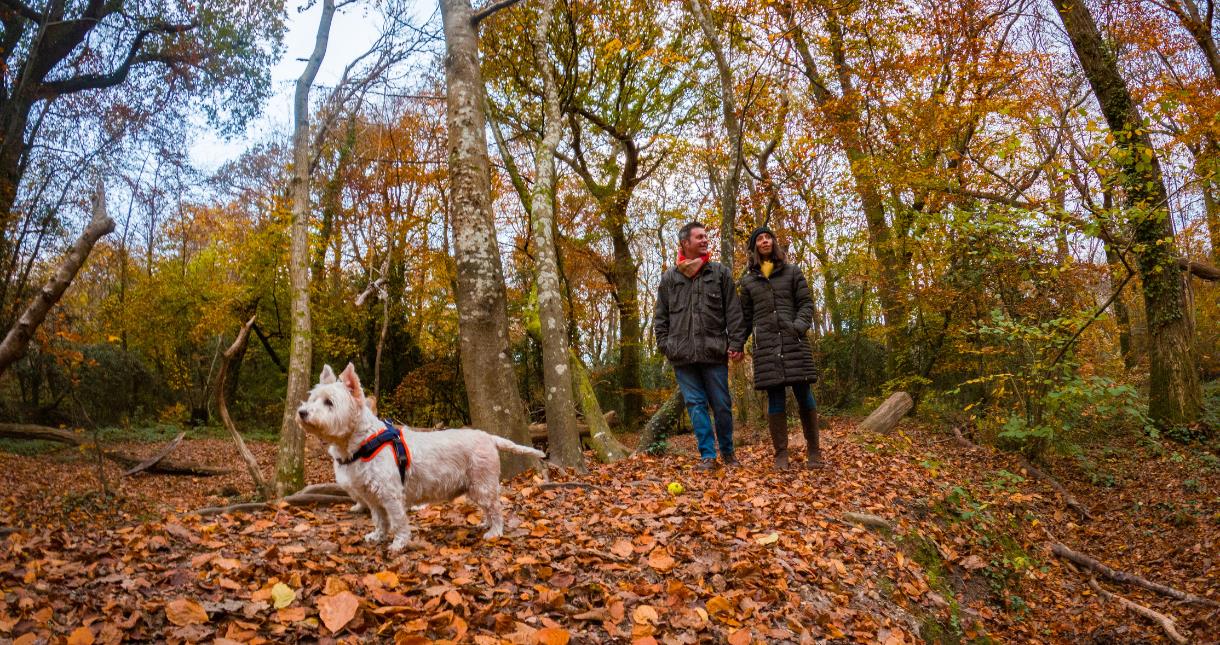 A couple with their dog standing in a forest on the Isle of Wight