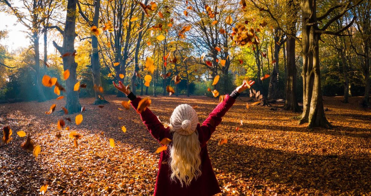 Lady throwing leaves in the air