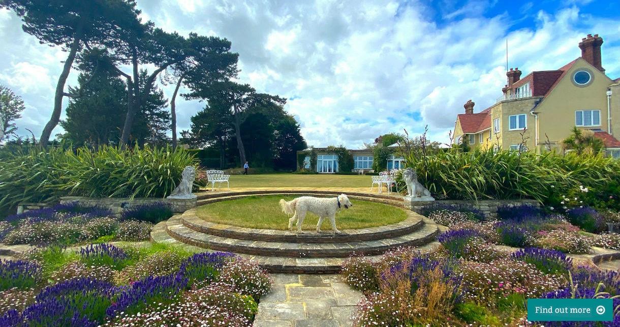 Dog on steps within the grounds of Haven Hall Hotel