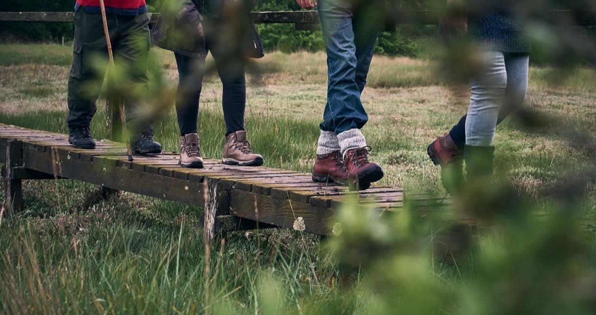 Walkers enjoying the countryside walks at the Isle of Wight Walking Festival