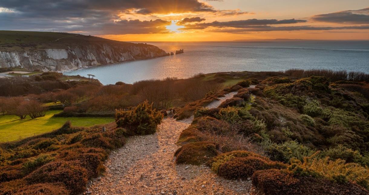 View of the Needles from Headon Warren