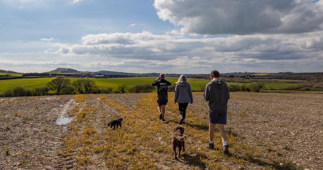 Family and two dogs walking through fields in the countryside on the Isle of Wight