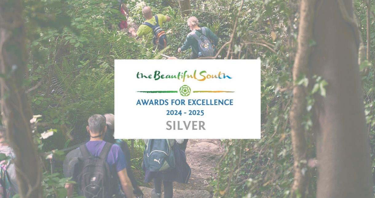 Group of people walking through a forest on the Isle of Wight with the Isle of Wight Walking Festival's Beautiful South Silver Award 2024/25 logo