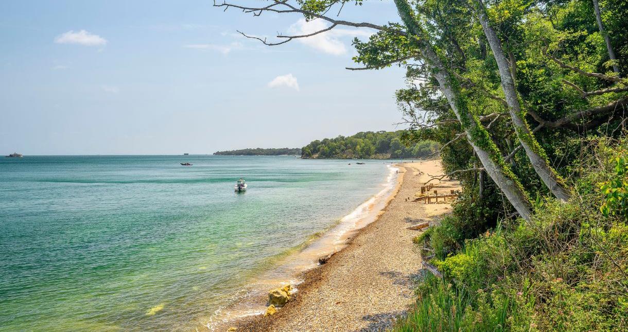 Priory Bay beach on the Isle of Wight