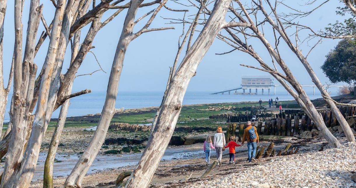 Family walking on Bembridge beach