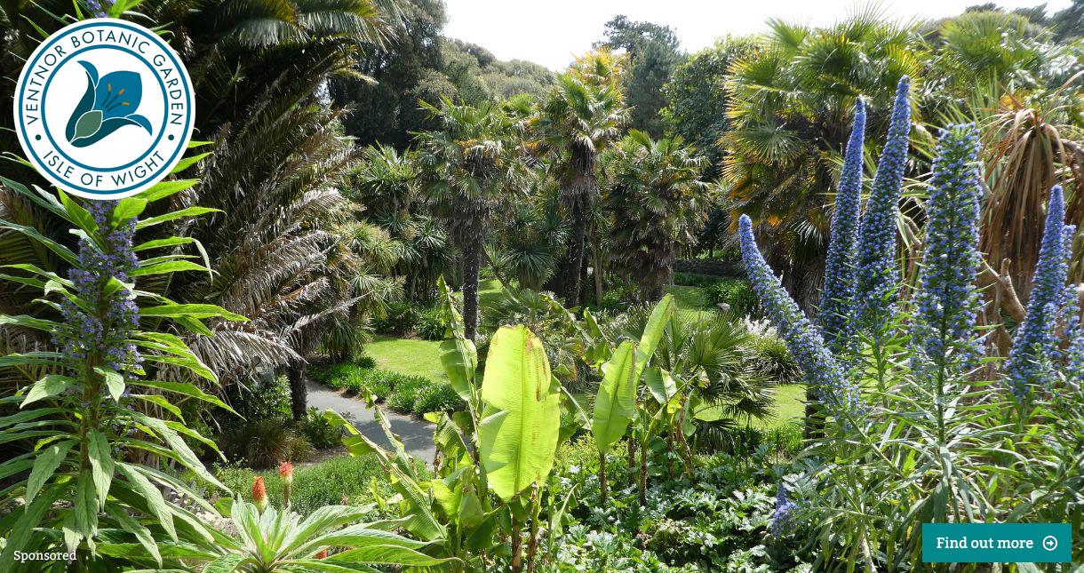 Palm garden at Ventnor Botanic Garden, Isle of Wight