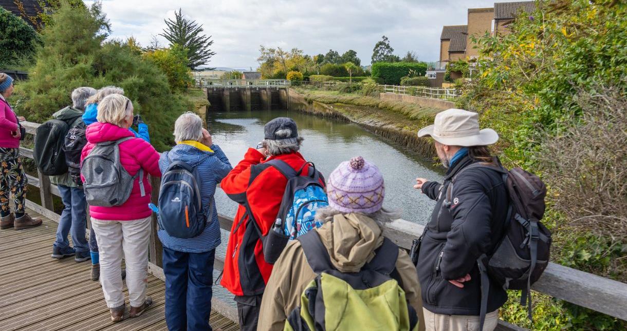 Group of walkers on a bridge over a small lake at St Helens