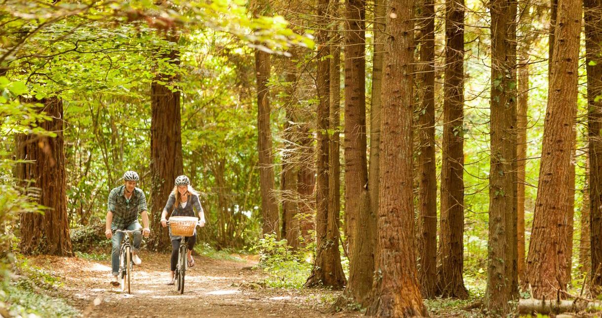 Couple cycling in the forest on the Isle of Wight