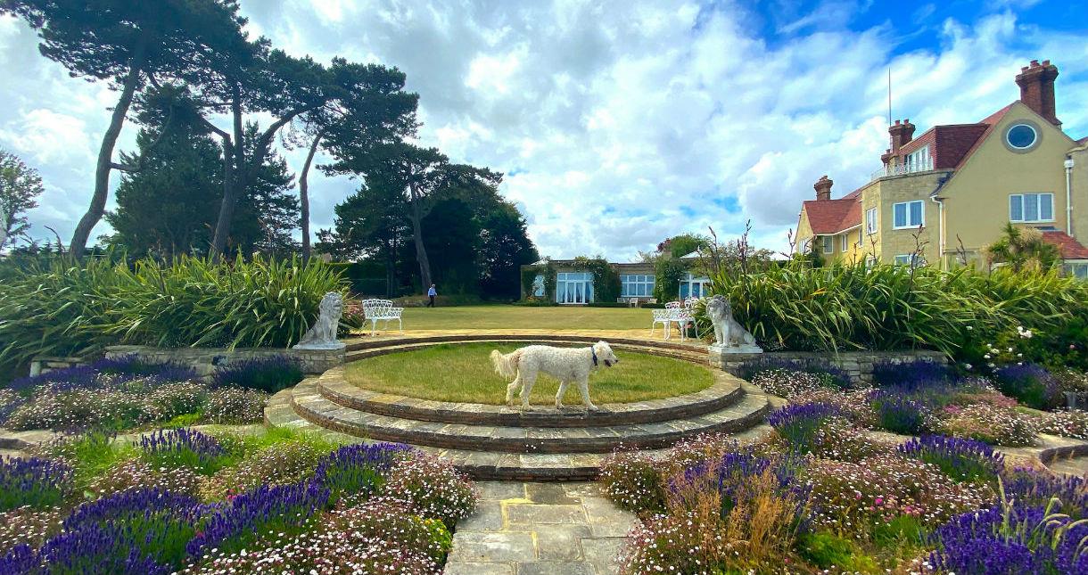 Dog on steps within the grounds of Haven Hall Hotel