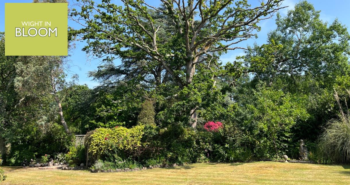 Rosalind Smith's garden - Patron winner & Best Climate Resilient Garden - Isle of Wight Wight in Bloom awards 2025