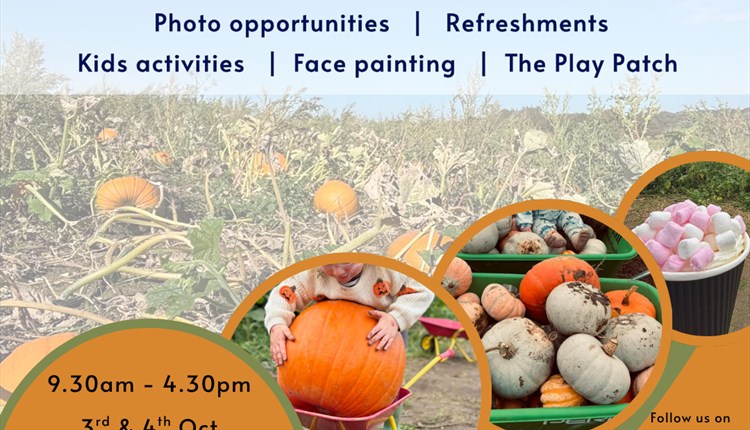 Pumpkin patch at westover farm, halloween events, October activities, family days out, Isle of Wight