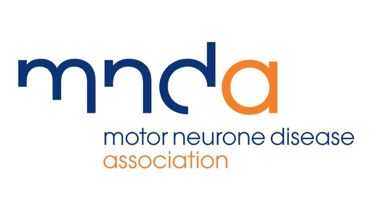 Isle of Wight, Charity Antiques and Collectors Fair, Northwood House, Cowes