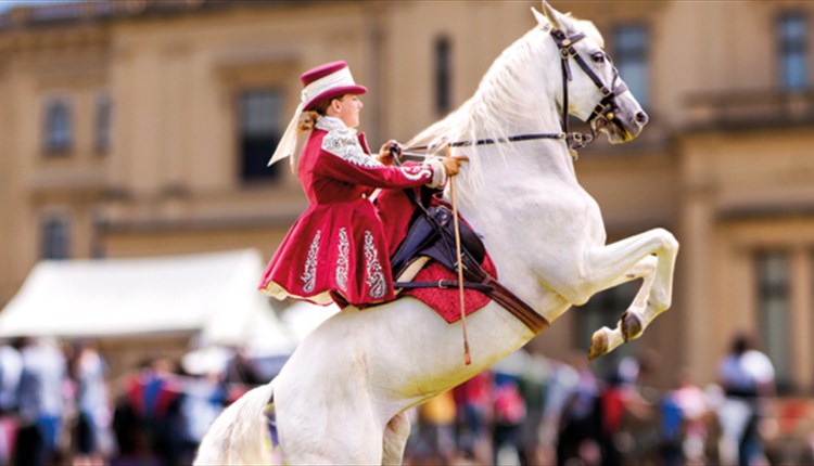 Lady on a horse, All the Queen's Horses event at Osborne, event, what's on, Isle of Wight