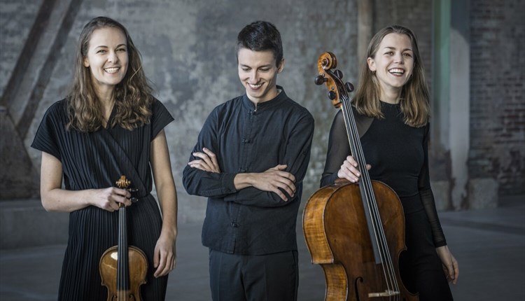 Amelia Trio at Freshwater memorial hall, Isle of Wight, live music events
