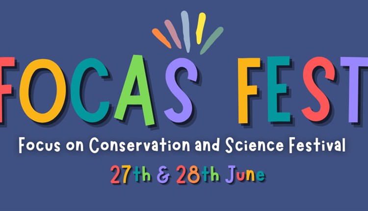 FOCAS fest at Wildheart Animal Sanctuary, Isle of Wight, things to do, what's on